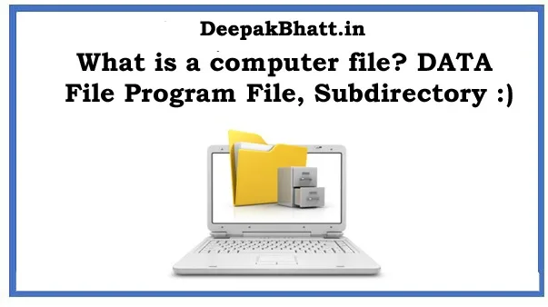 What is a computer file? DATA File Program File, Subdirectory File Concept