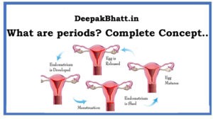 Read more about the article What are periods?