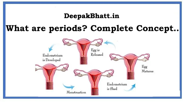 What are periods