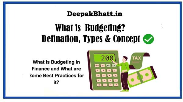 What is Budgeting? Defination, Types & Concept in 2024