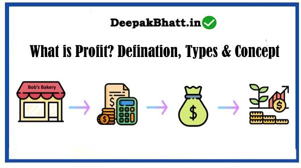 What is Profit? Defination, Types & Concept
