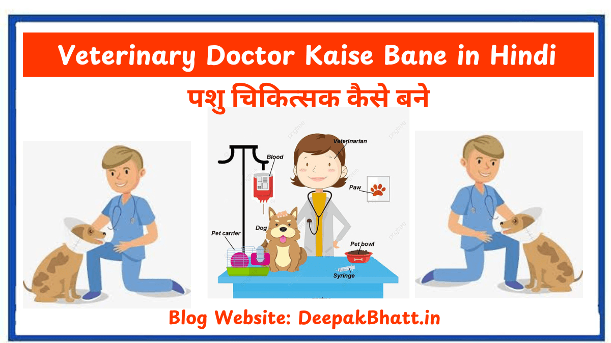 पशु चिकित्सक कैसे बने