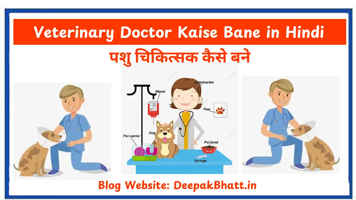 पशु चिकित्सक कैसे बने