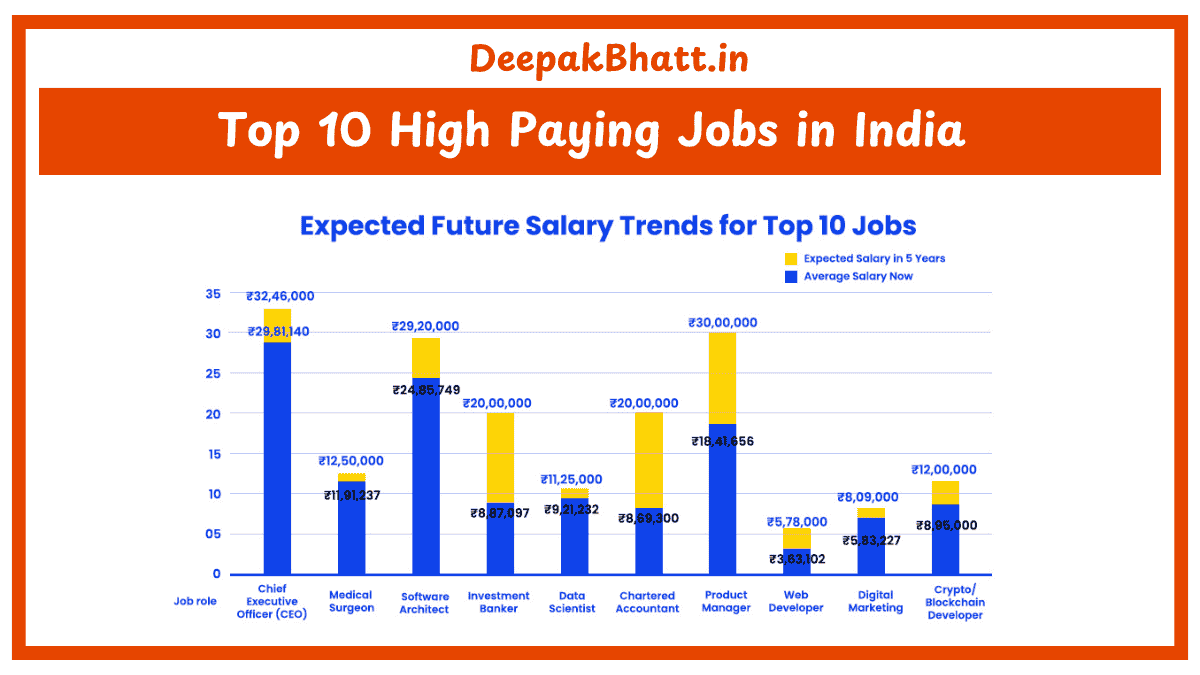 Top 10 High Paying Jobs in India